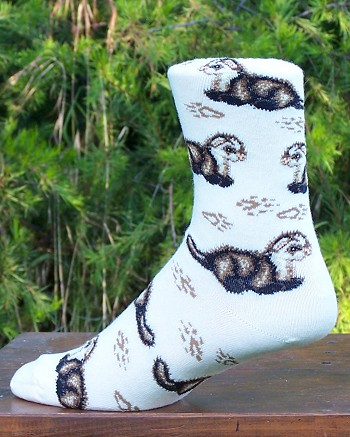 Ferrets Stylish Fully Cushioned Socks