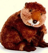 Stuffed Plush Beaver from Stuffed Ark