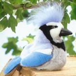Stuffed Plush Blue Jay